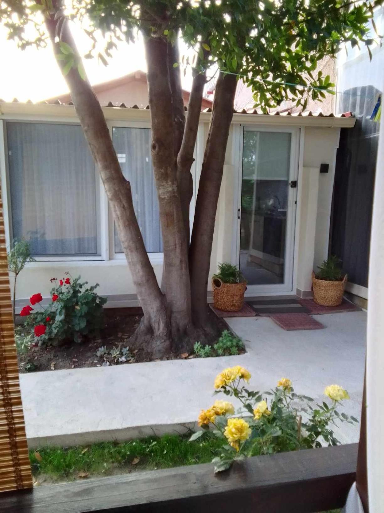 Nikolas House Apartment